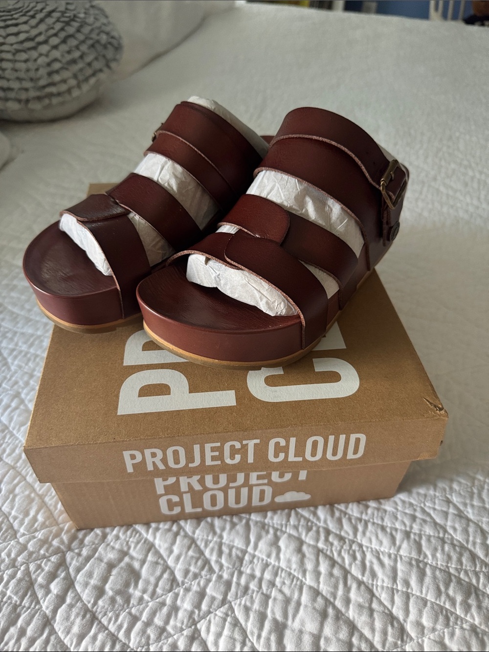 Project Cloud Women's Brown Platform Sandals